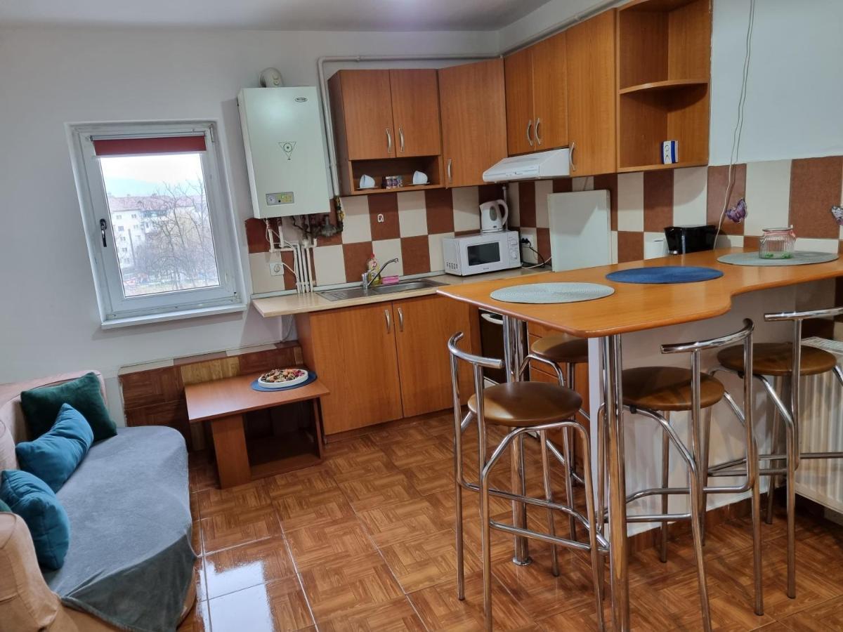 Marya'S Apartman Râmnicu Vâlcea Kültér fotó