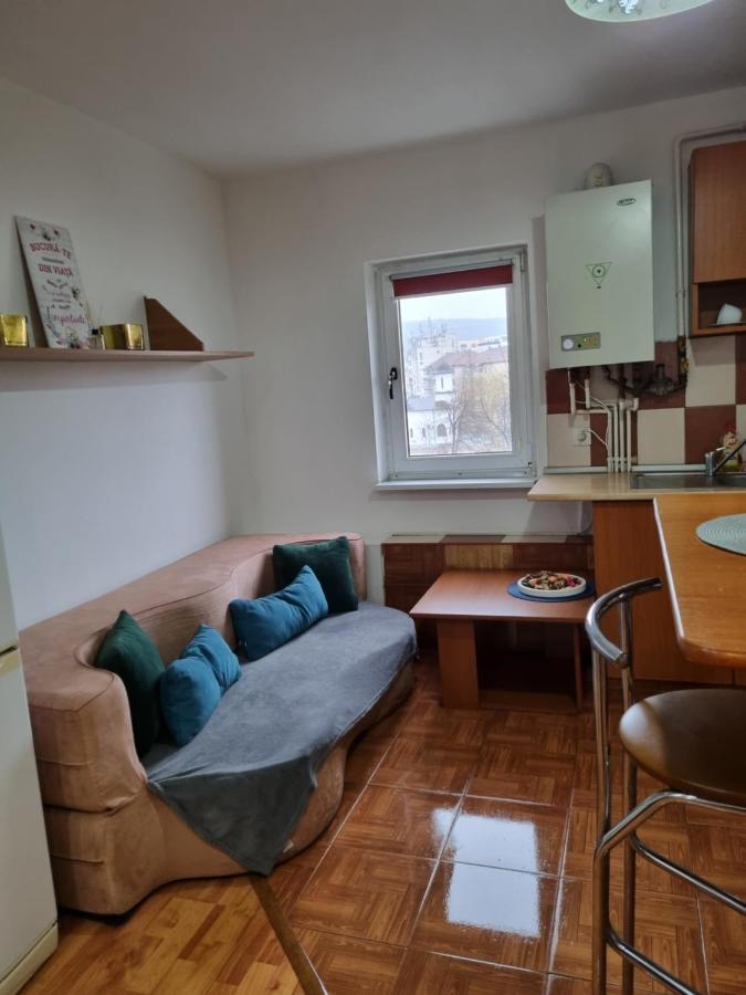 Marya'S Apartman Râmnicu Vâlcea Kültér fotó